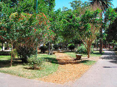 Plaza Monte Castro